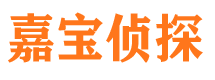 临沂市私家侦探